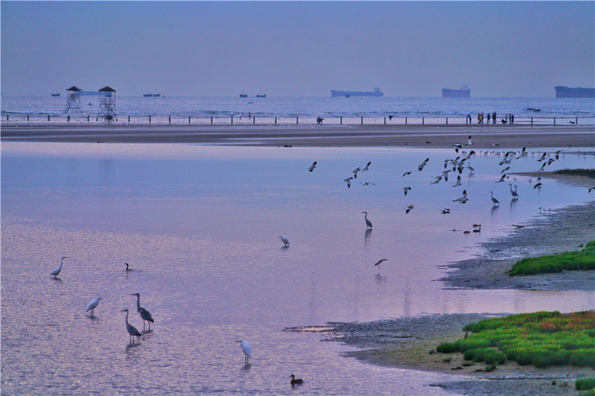河北最宜居的城市有哪几个,河北最宜居的城市是哪个