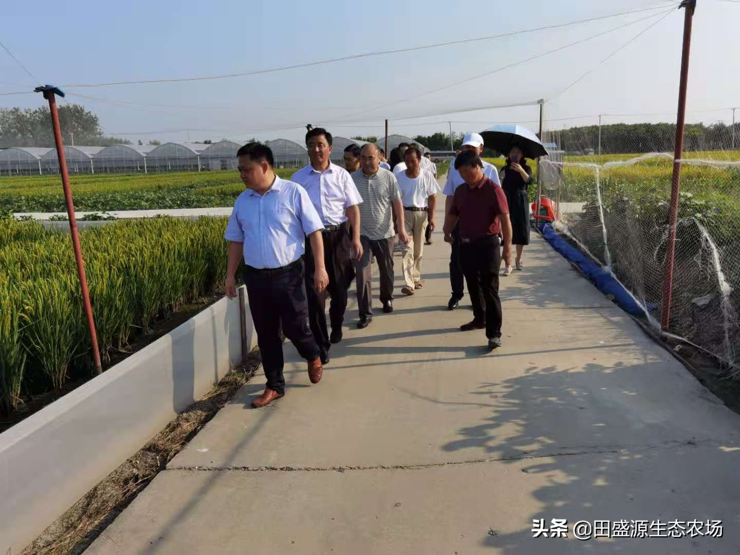 农民养殖创业赚钱吗,农村养殖创业有什么好项目