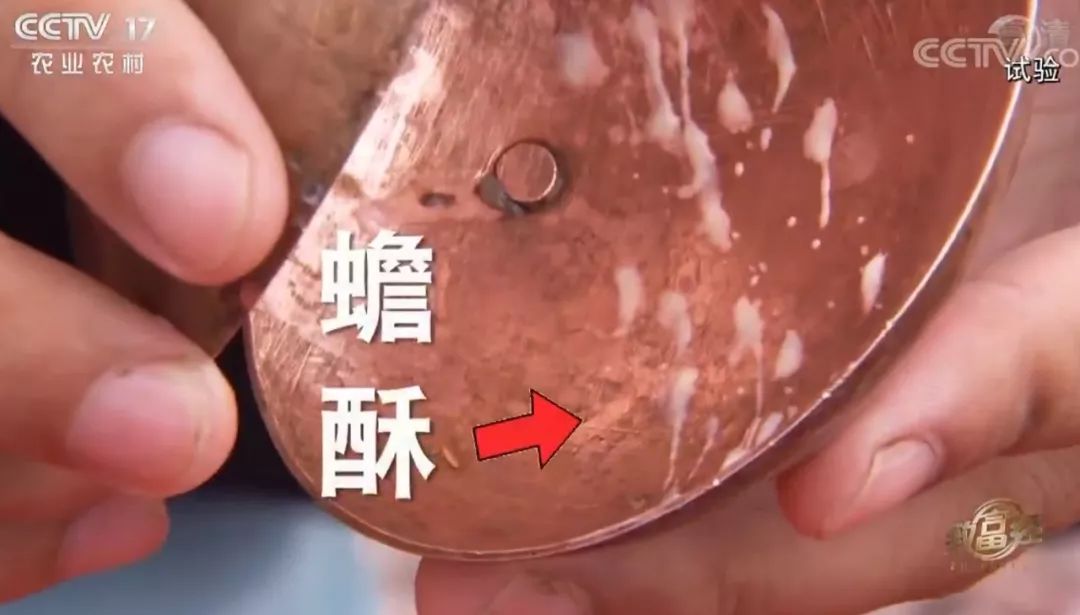 青蛙养殖和蟾蜍养殖,青蛙和癞蛤蟆能够合养吗