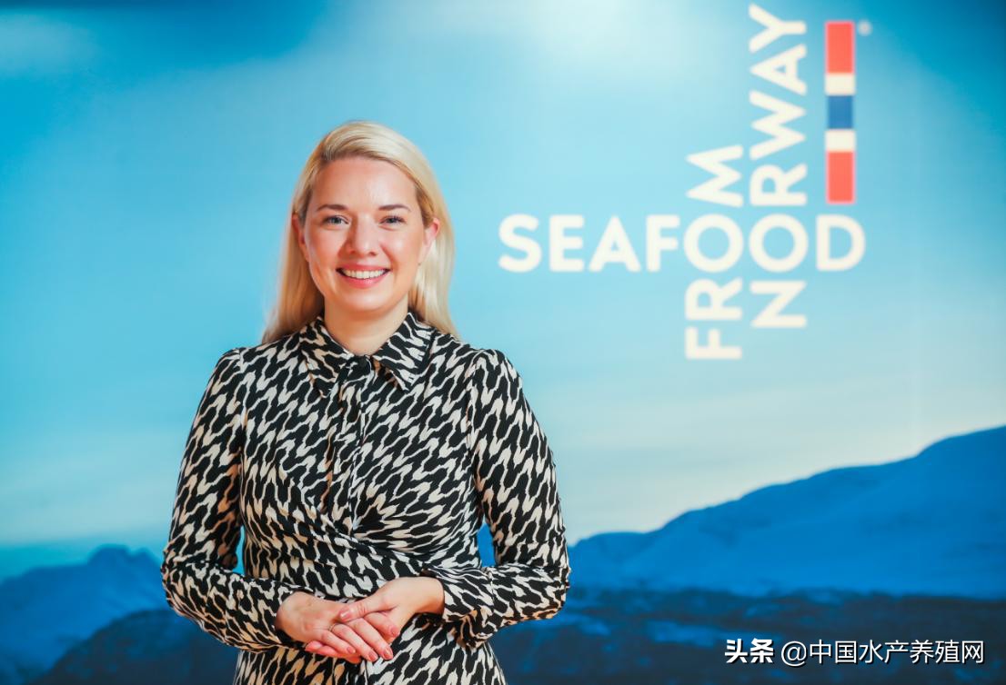 最受欢迎海产品,最受国人欢迎的海鲜