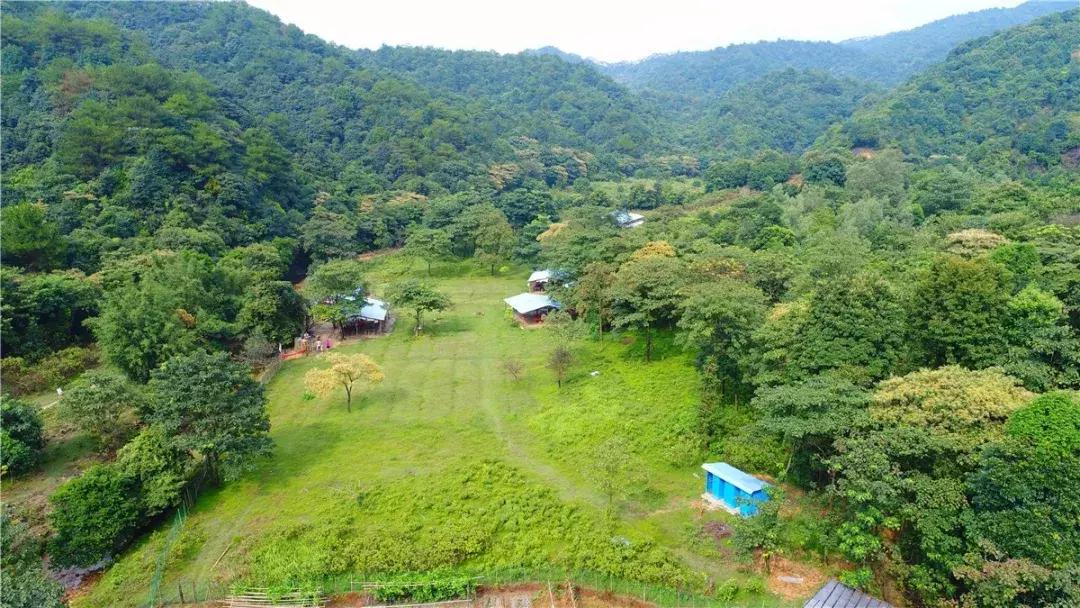 清远这座糖果色湖景汤泉别墅，私藏气派大瀑布和绝美草原！！