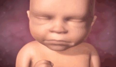 胎儿怎么在娘胎里排泄,胎儿在娘胎里能看见什么