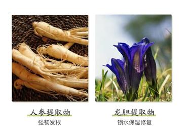 掉头发怎么办教你快速解决,掉头发怎么办教你一招快速解决