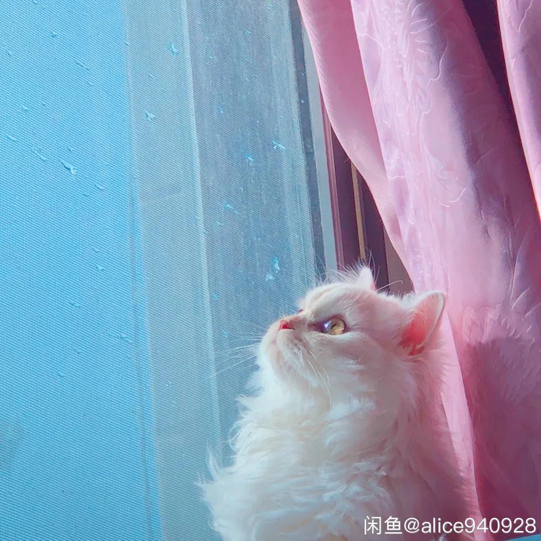 后浪西安,后浪陕汽西安