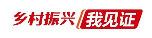 向总书记说说心里话｜乡村振兴，沃野千里*光春**好