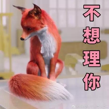 三生三世系列还会出吗,三生三世没结果