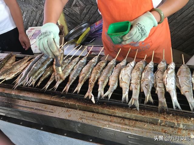 去达里湖看华子鱼洄游,达里诺尔湖华子鱼洄游在哪里