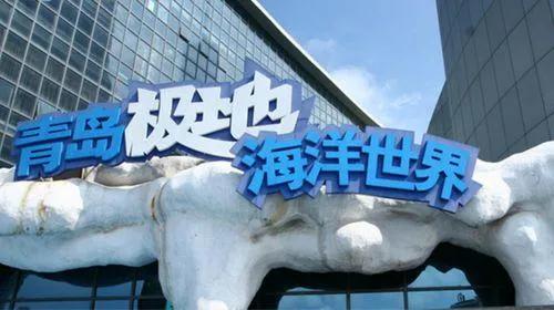 青岛极地海洋馆到底值不值得去,青岛极地海洋馆怎么样值得去吗