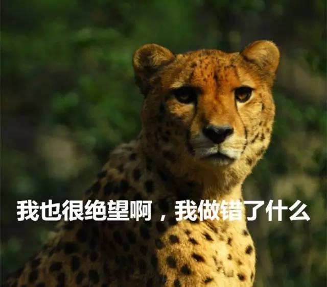 欠债100多万老板跑了,餐饮破产欠债两百万