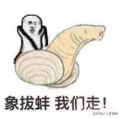 夏季什么海鲜好吃,夏天来了吃什么海鲜才过瘾