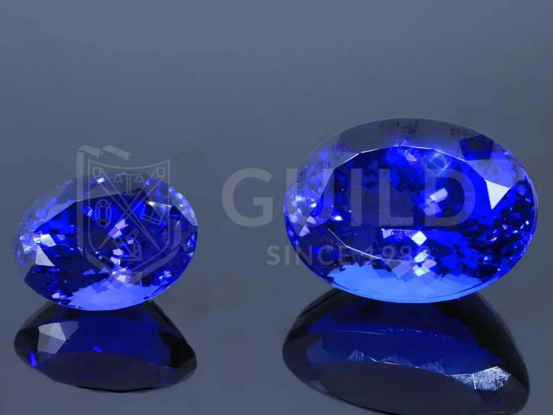 市场报告：小坦桑大机遇！一场悄悄来临的蓝色风暴