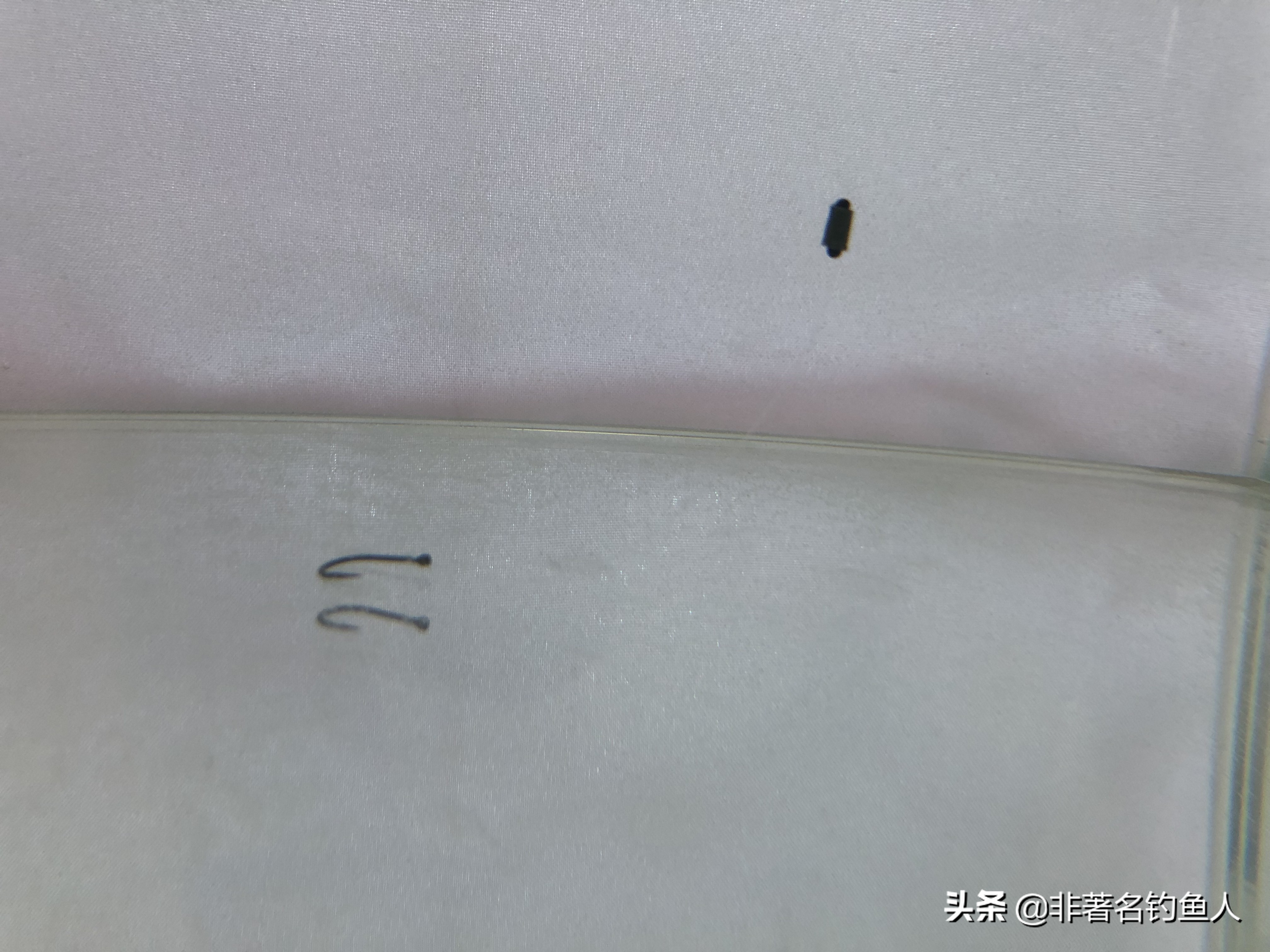 传统钓鱼技巧七星漂调漂,七星漂逗钓调漂的正确方法与技巧