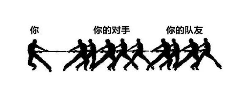 43度和53度的飞天茅台有什么区别,飞天茅台43和53价格有什么区别