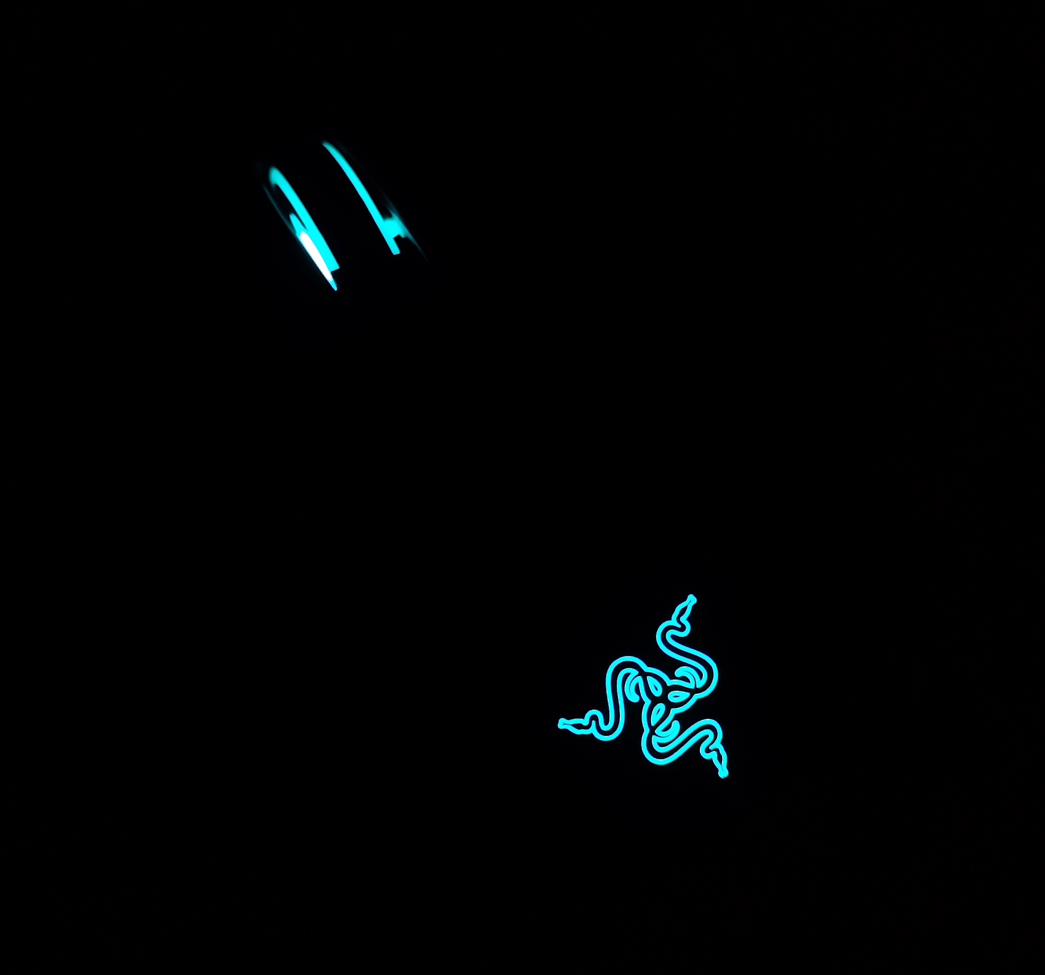 雷蛇nagapro那伽梵蛇专业版,雷蛇娜迦梵蛇专业版和v2的区别