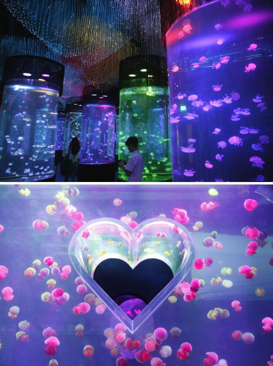 南昌融创文旅城路线,南昌融创文旅城规划图