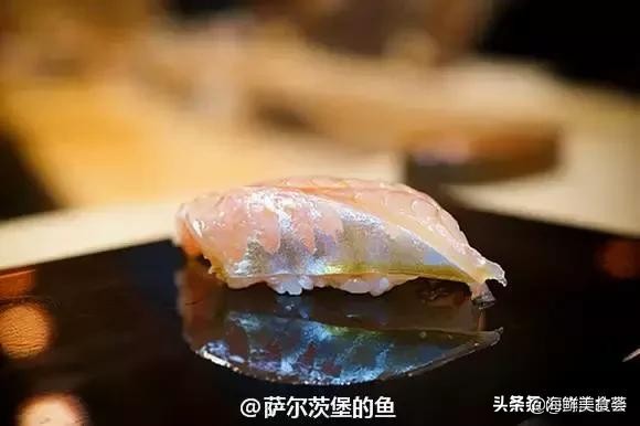 各种寿司纯鲜三文鱼刺身,日本传统寿司都用什么鱼