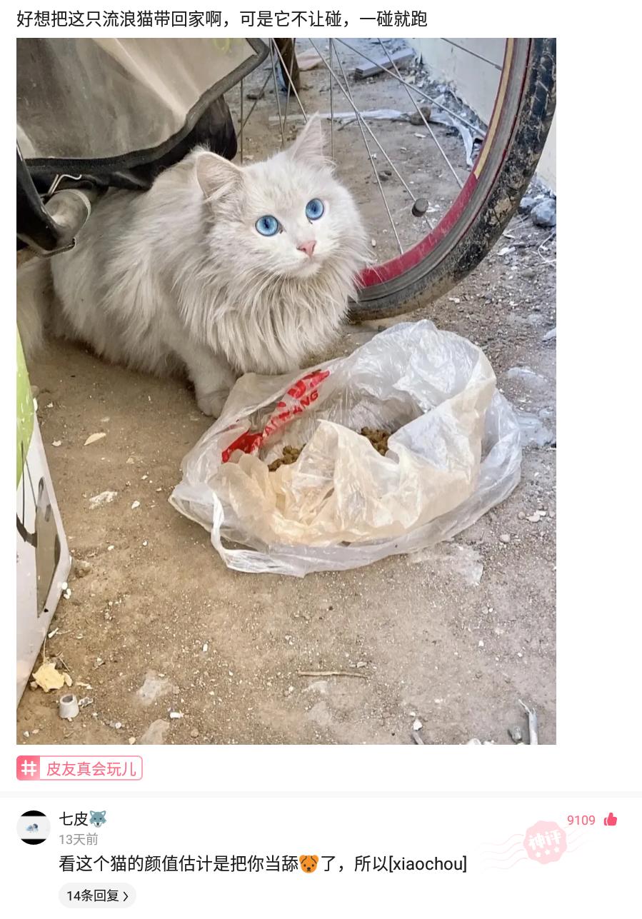 老板发生日红包高情商拒收回复,员工结婚老板发红包怎么回复