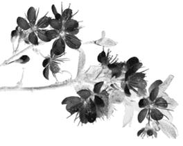 清明周末去哪玩？青田这个神仙山村必须打卡