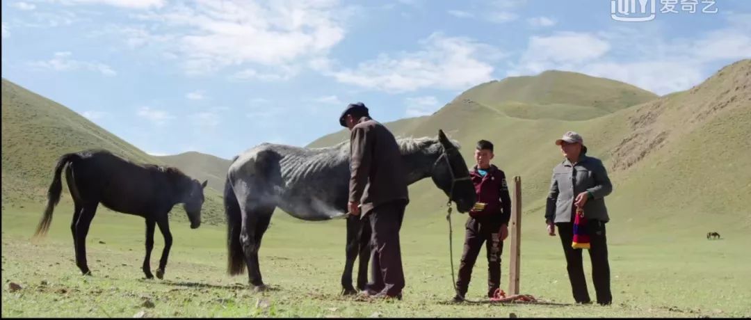 天山脚下纪录片,天山脚下纪录片完整版