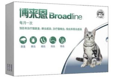 猫咪体外驱虫一般驱什么虫,猫咪体外驱虫什么药驱得全面