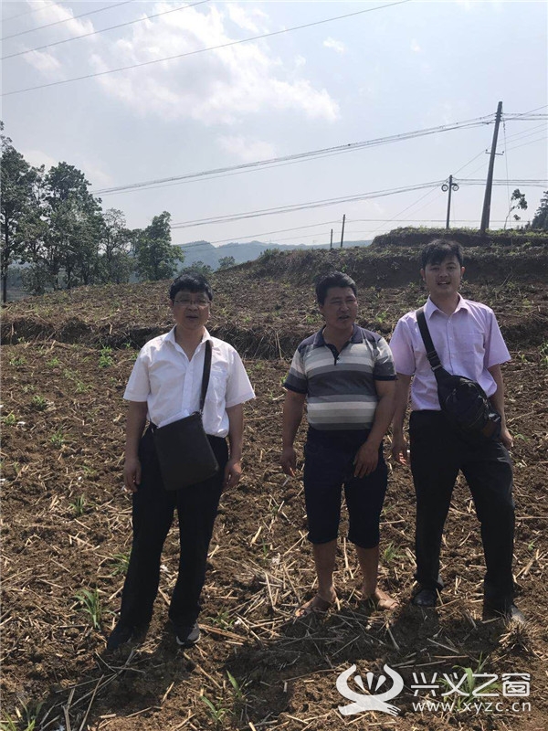 农行富民产业贷圆您脱贫致富梦,兴义农行惠农贷