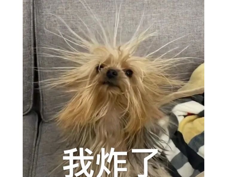 冬天静电最好的解决方法,冬日人体静电怎么消除