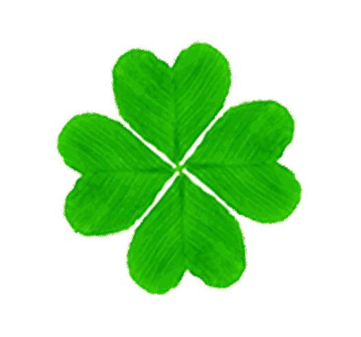 2022年高考英语课标新增词汇,2020年英语考纲单词可数名词