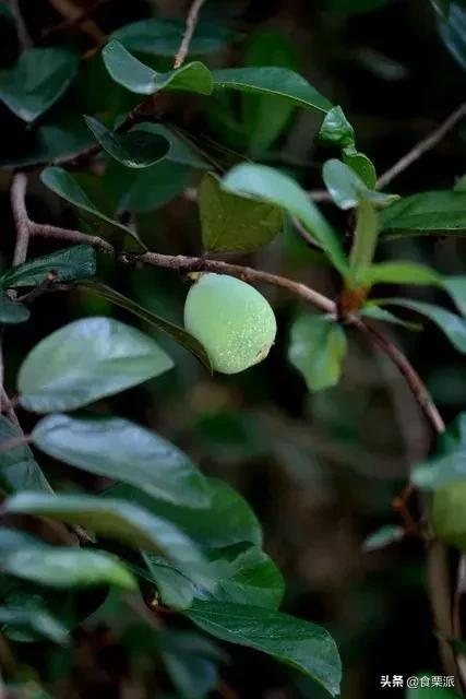 高温天气只有晚上外面凉快,高温天气凉快点
