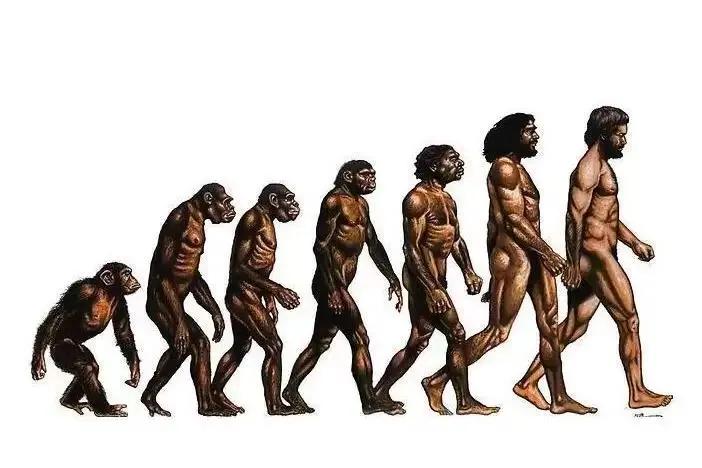 货币的发展历史和演变过程,货币的发展演变过程