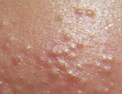 帝宁denim护肤旗舰店,帝宁男士护肤