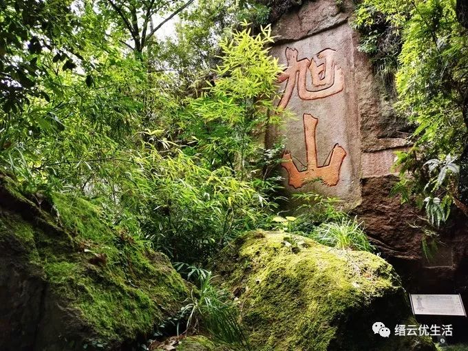 美哭了宛若人间仙境,缙云人间仙境