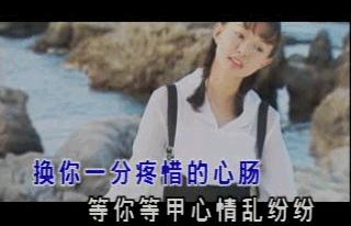杨钰莹当年真实情况,杨钰莹当年出了什么事