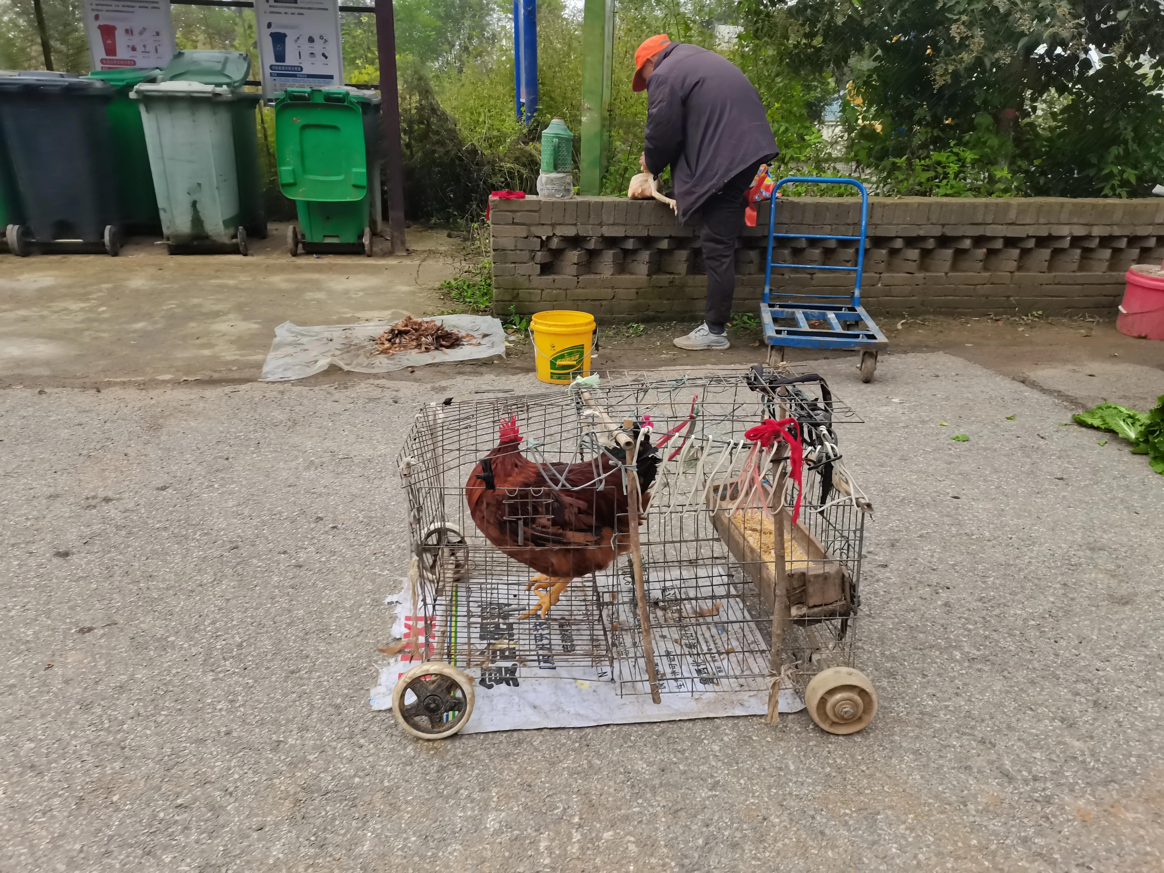 西安洪庆山自驾游路线图,西安洪庆附近旅游景点
