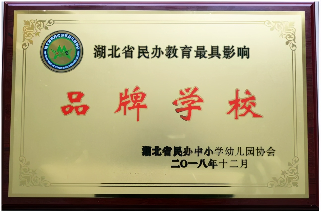 荆楚校园足球,2019江汉校园足球