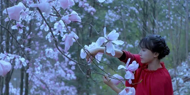 李子柒家乡成旅游景点,李子柒乡愁