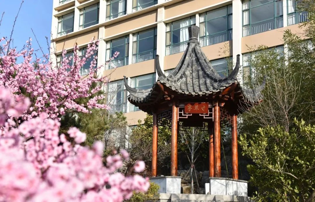 青岛黄海学院官网招生章程,青岛黄海学院2023招生简章章程