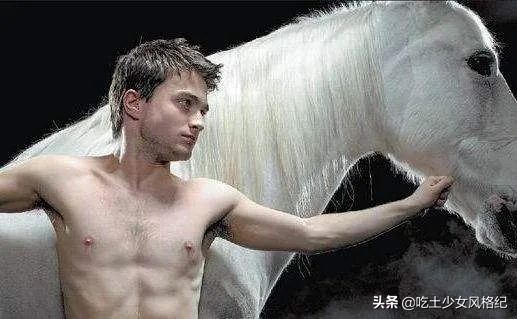 哈利波特四十岁生日的样子,哈利波特十九年后