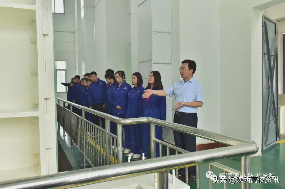 高职巡礼杨凌职业技术学院,国家示范大学杨凌职业技术学院