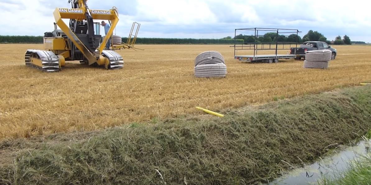 越南大米出口价格在攀升,越南大米现在还会涨价吗