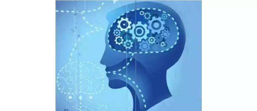 三道谜题你能答出几道,世界上最难的思维谜题