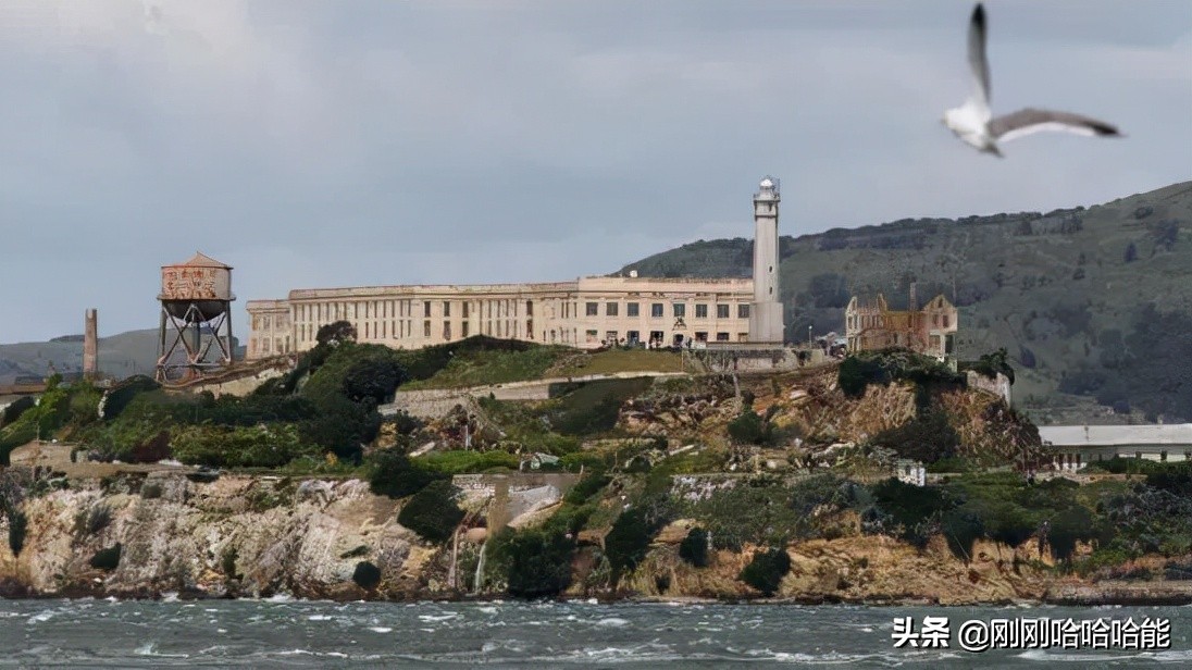 逃离恶魔岛至今未破获的越狱奇案,逃离恶魔岛免费完整版在线观看