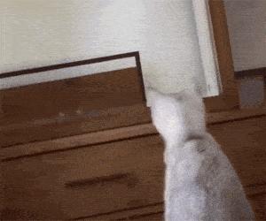 明星大撞脸你看哪个最像,明星撞脸对比