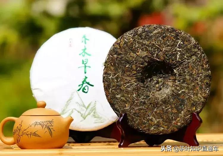 普洱茶新茶茶质特征是什么,普洱新茶中期茶老茶怎么区分