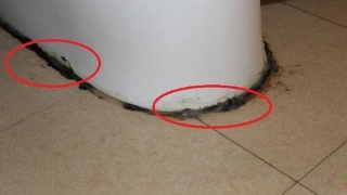 马桶边缘漏水修补胶发霉怎么清理,马桶底部玻璃胶发黄发霉怎么处理