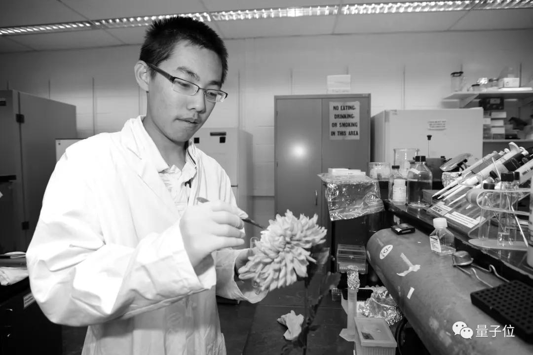 27岁华裔小伙一战成名！打造最准新冠预测模型，干翻专业机构