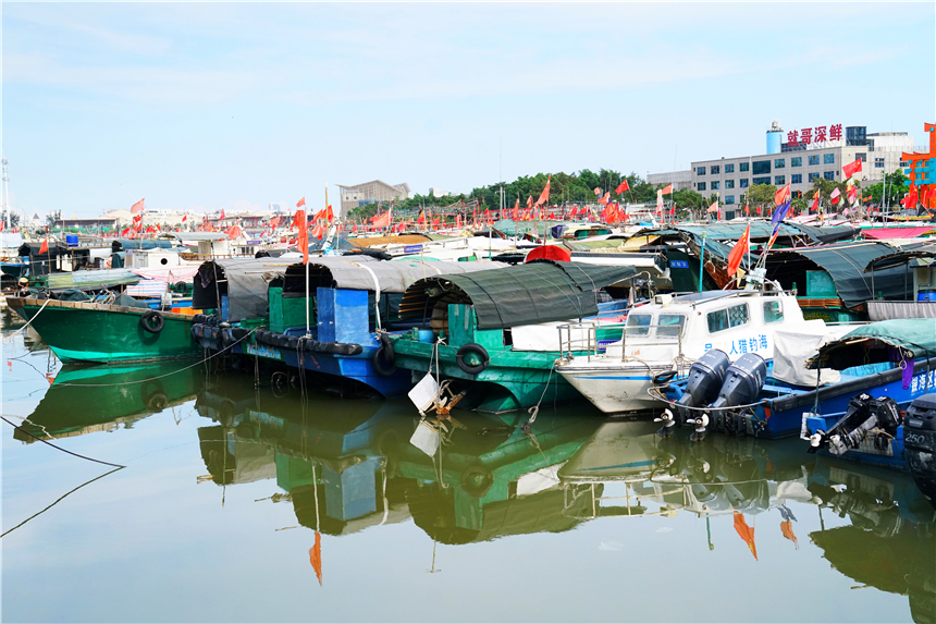 北海旅游，鲜榨果汁6块深海鲍鱼1.2元，东北大哥为何在此居住30年
