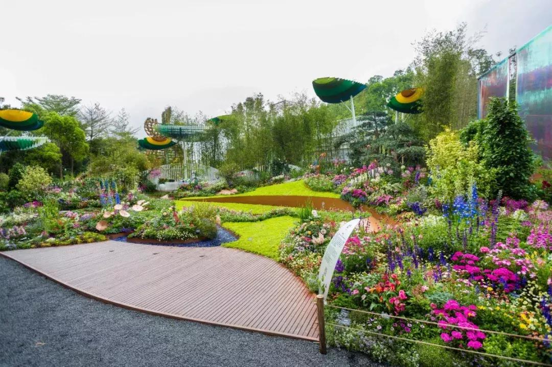 未来10天预警，深圳最最最最火的地方在这里，美女都赶来打卡