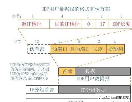 电脑网络基础知识指哪些,网络技术基础怎么学好