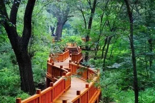 顺义大芦苇荡樱桃采摘园,顺义五大樱桃园