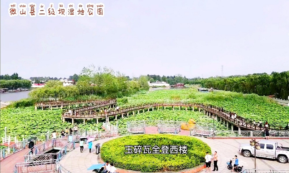 微山湖荷花池美景,微山湖红荷湿地公园旅游攻略最新